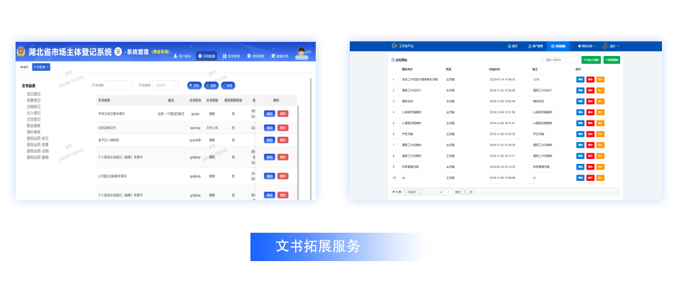 综合业务系统职能拓展服务项目