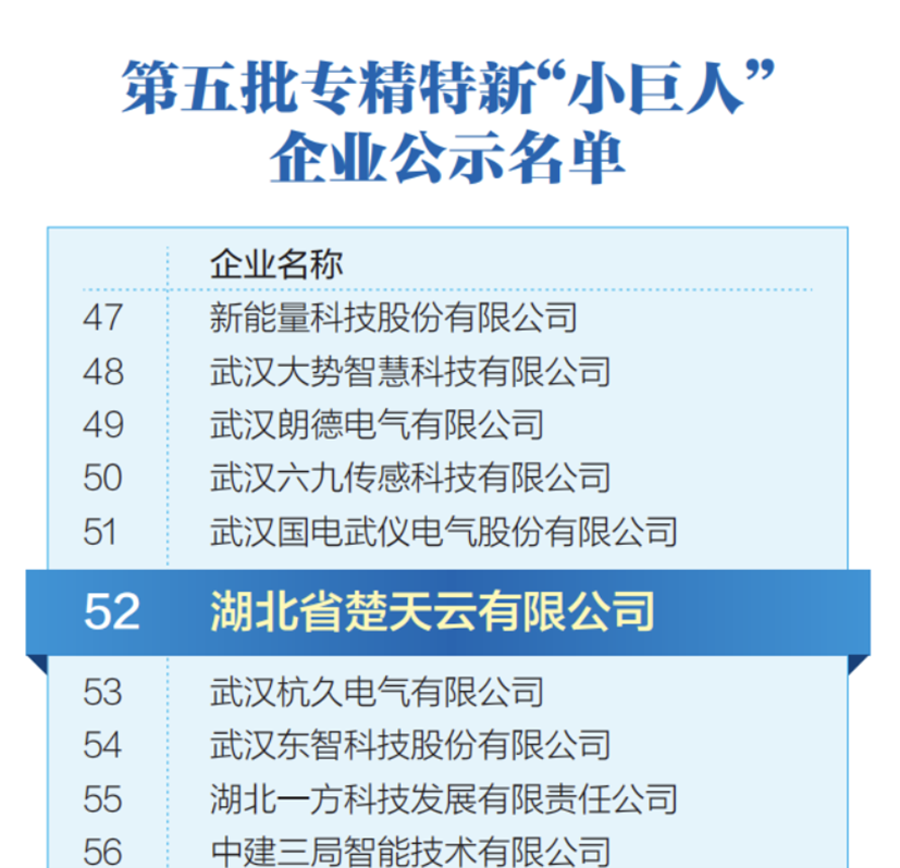 国度级专精特新“小巨人”企业